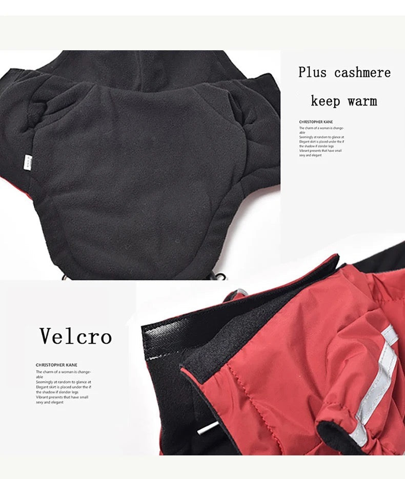 Pupreme Dog Jacket | Street Style Dog Jacket