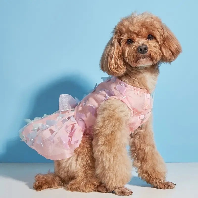 Butterfly Princess Dog Dress | Party Outfit