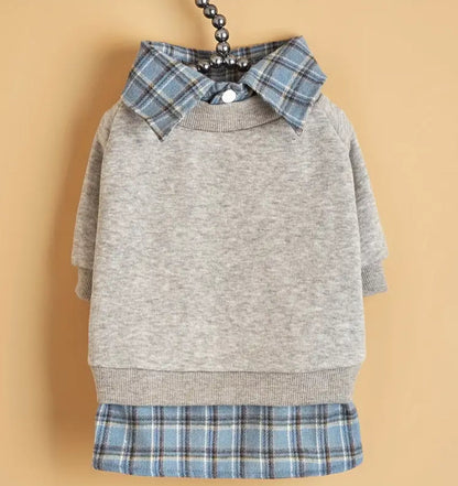 Adam Dog Sweater | Layered Dog Shirt and Knit Sweater