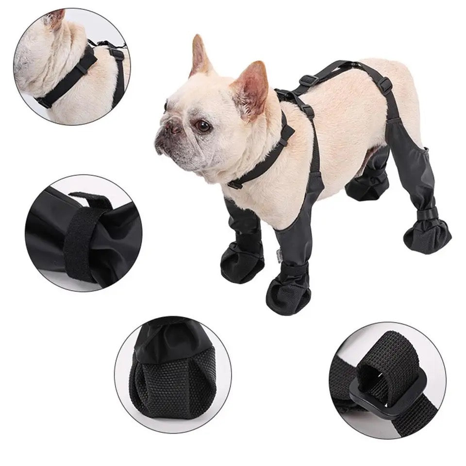 Dog Boots | Protective Paw Boots for Dogs