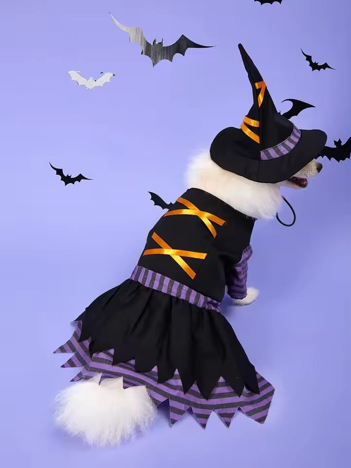 Witch Dog Halloween Costume | Dog Costume for Halloween