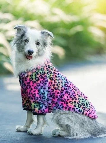 Urban Wild Dog Jacket | Medium to Large Breed Outerwear