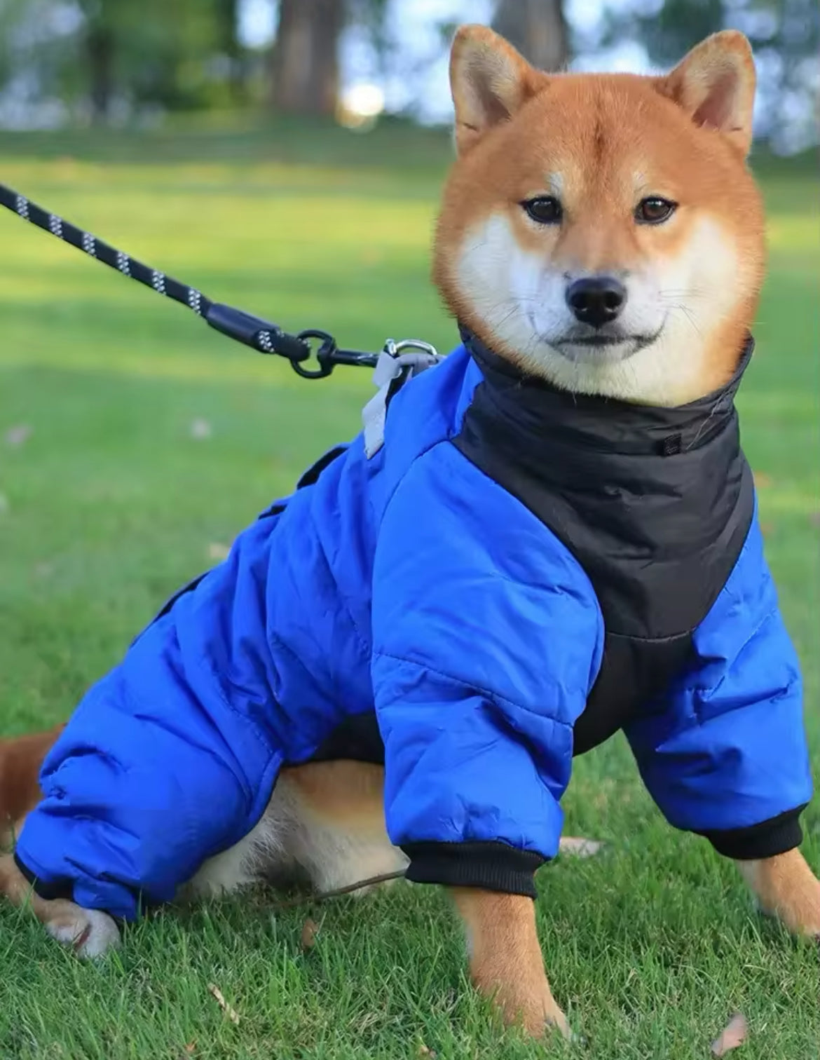 Vancouver Dog Rain Jacket | Waterproof Dog Jacket