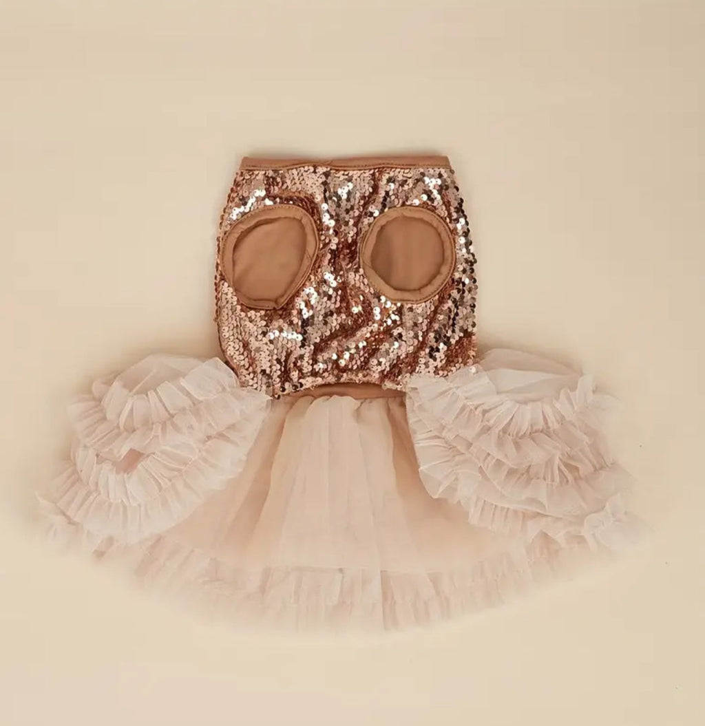 Eloise Dog Dress | Designer Pet Dress