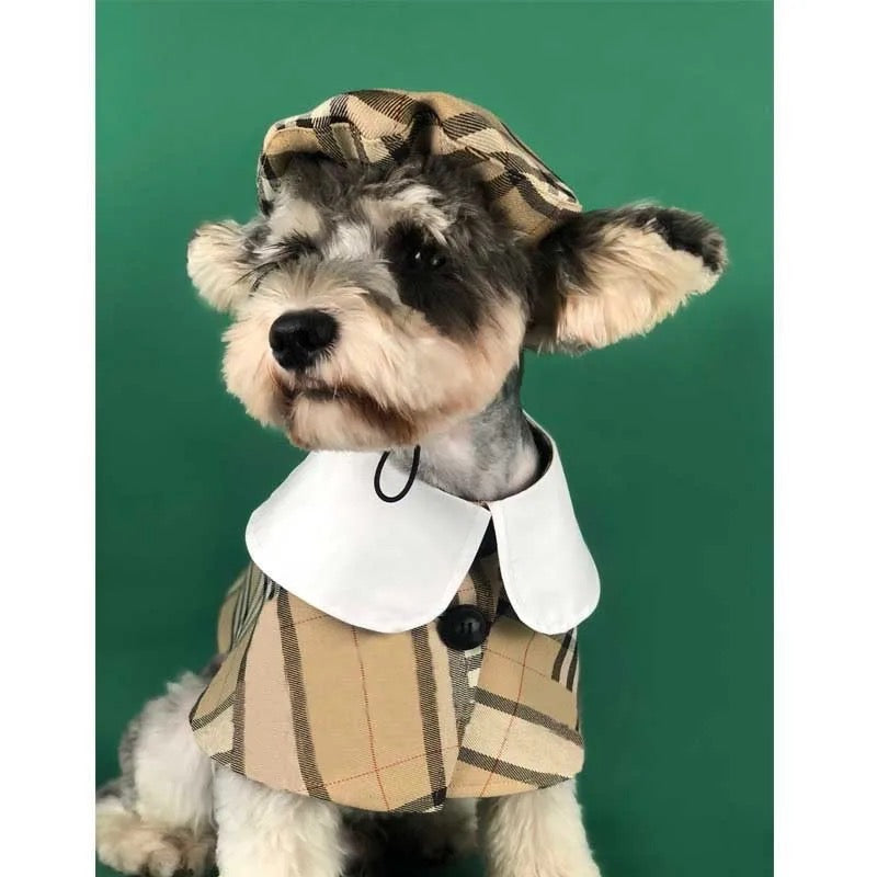 Dog Cloak & Hat Set | Brrbrry Signature Outfit
