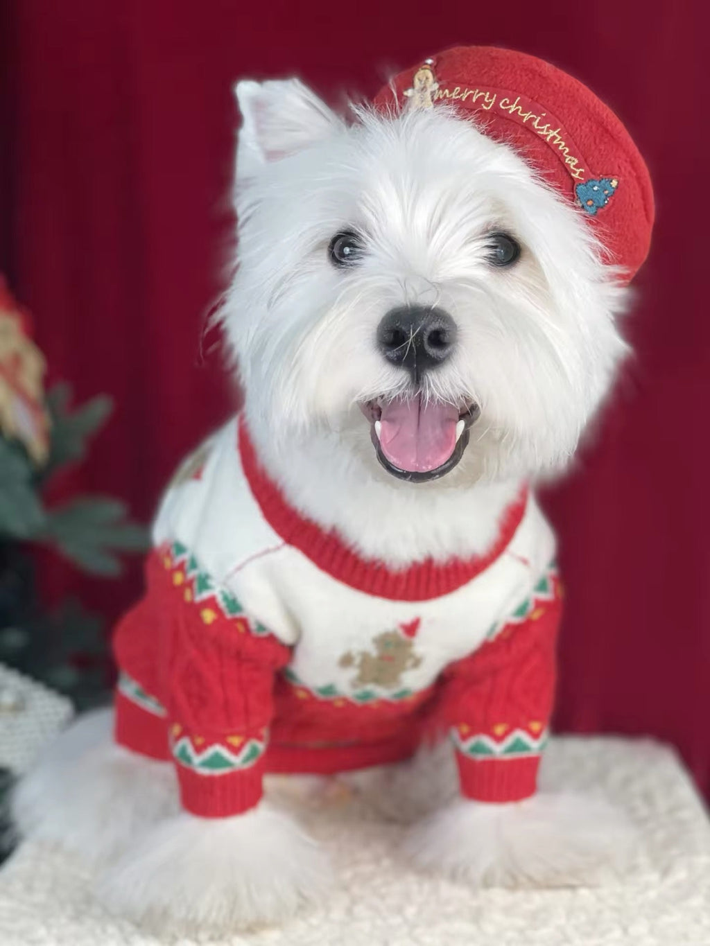 Gingerbread Christmas Dog Sweater – Holiday Knit Winter Outfit for Dogs