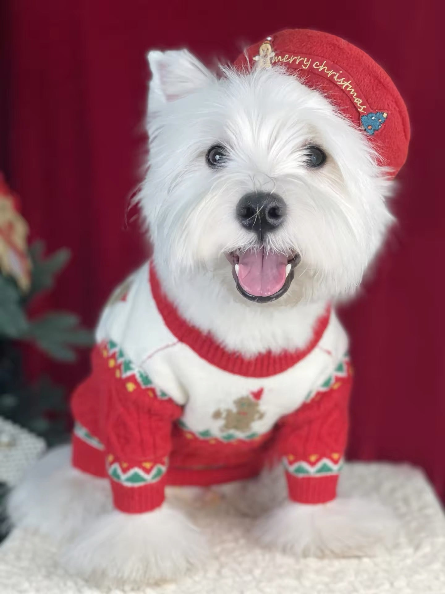 Gingerbread Christmas Dog Sweater – Holiday Knit Winter Outfit for Dogs