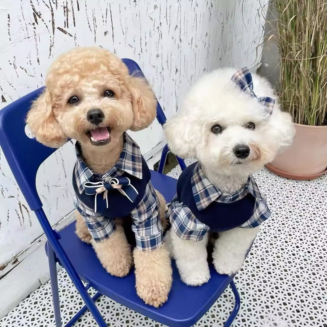 Fiona Set – Luxury Plaid Outfit Set for Dogs