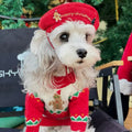 Gingerbread Christmas Dog Sweater – Holiday Knit Winter Outfit for Dogs