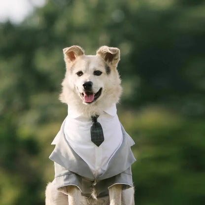 Dog Wedding Tuxedo Suit | Formal Outfit