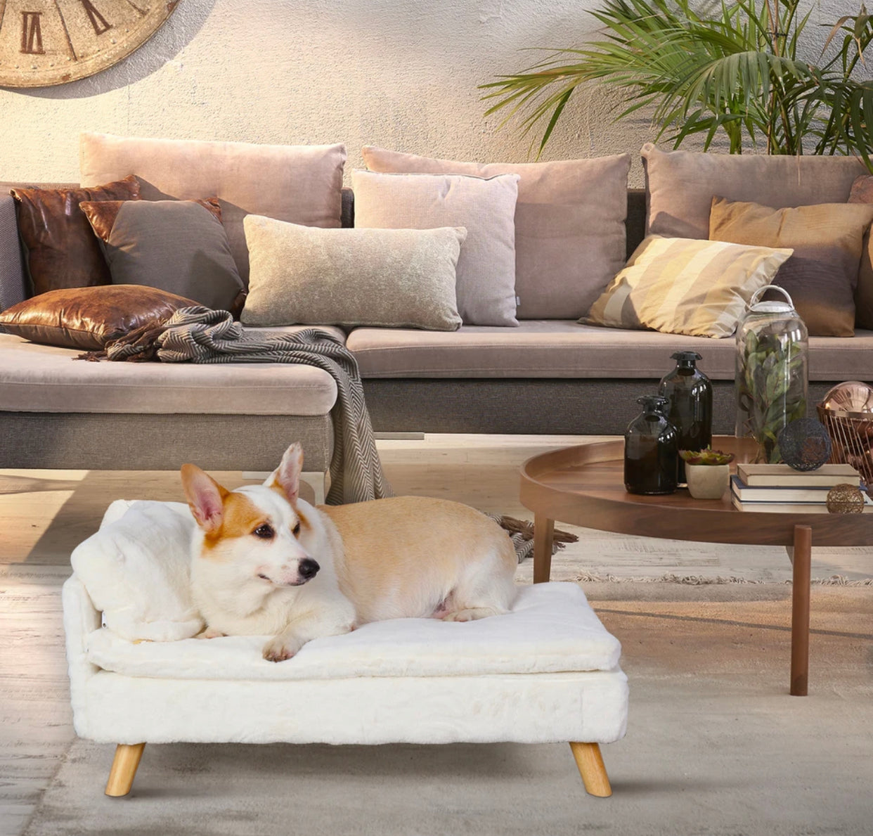 Nordic Dog & Cat Bed | Sofa Style Pet Bed