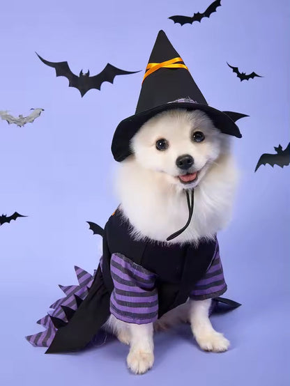 Witch Dog Halloween Costume | Dog Costume for Halloween