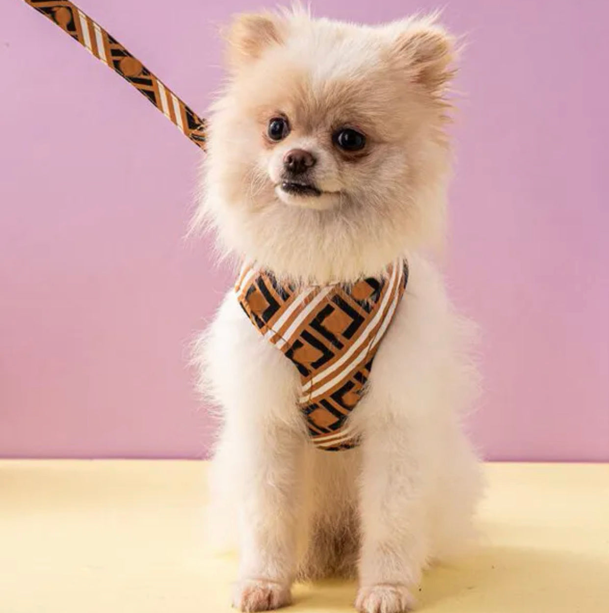 Furendi Dog Harness and Leash Set | Dog Walking Outfit