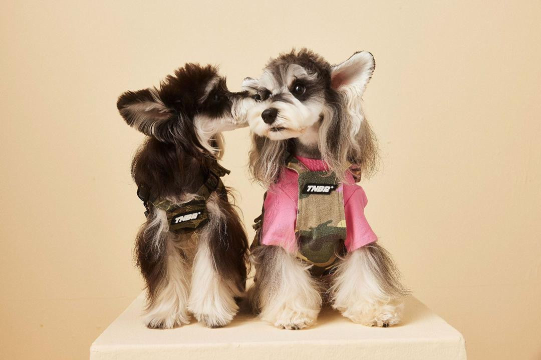Fall Dog Vest | Dog Vest for Cool Weather