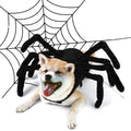 Spider Dog Halloween Costume | Dog Costume Outfit