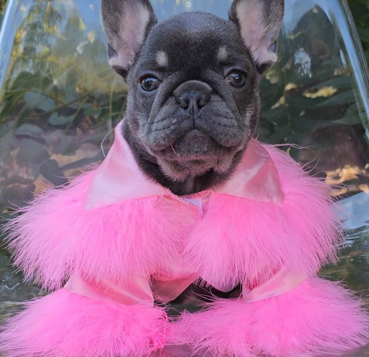 Princesa Dog Robe | Luxury Pet Robe