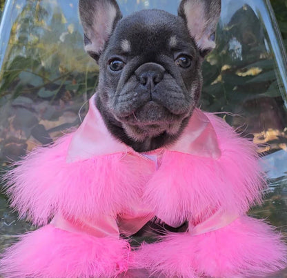 Princesa Dog Robe | Luxury Pet Robe