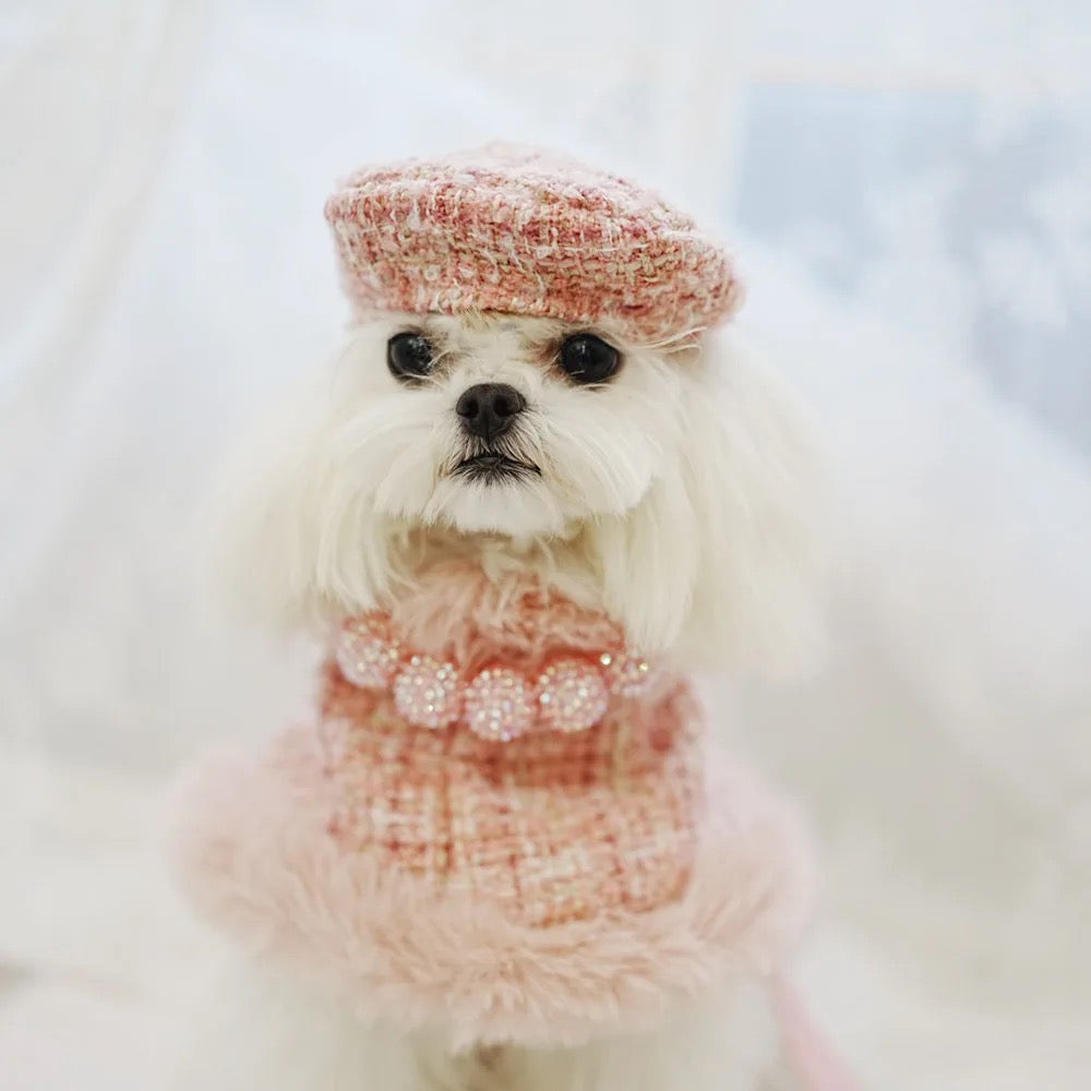 Missy Baby Tweed Dog Set | Classic Coordinated Dog Outfit