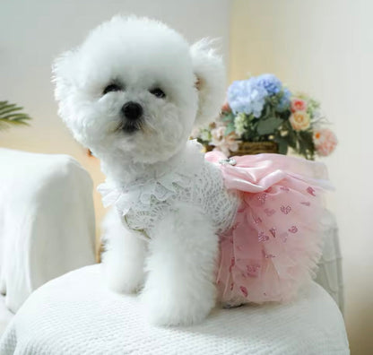 Laura Dog Dress | Designer Dog Dress for Small Dogs