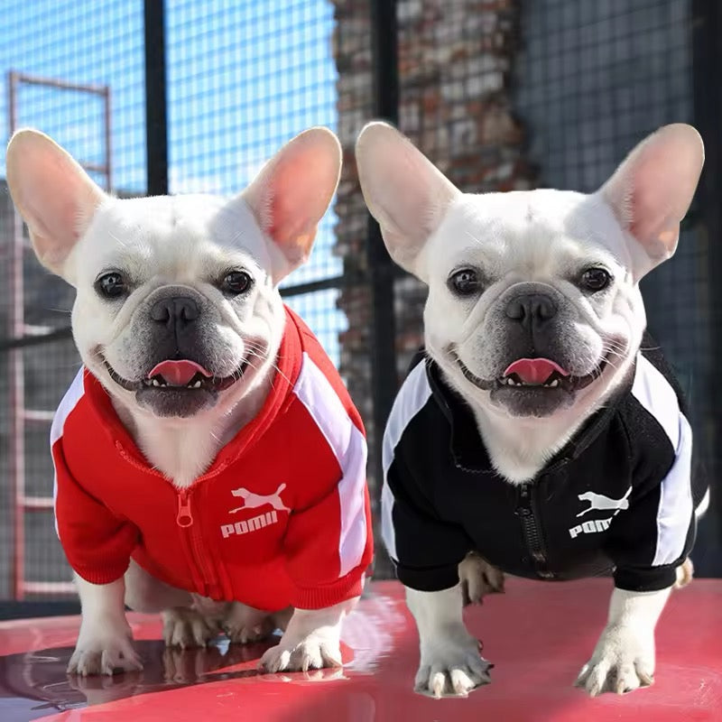 Poma Dog Jacket | Dog Jacket for Cold Weather