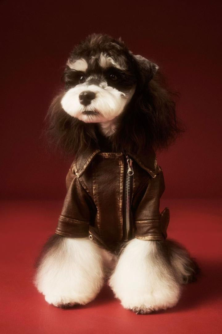 Lenny Dog Jacket | Dog Jacket for Cold Weather
