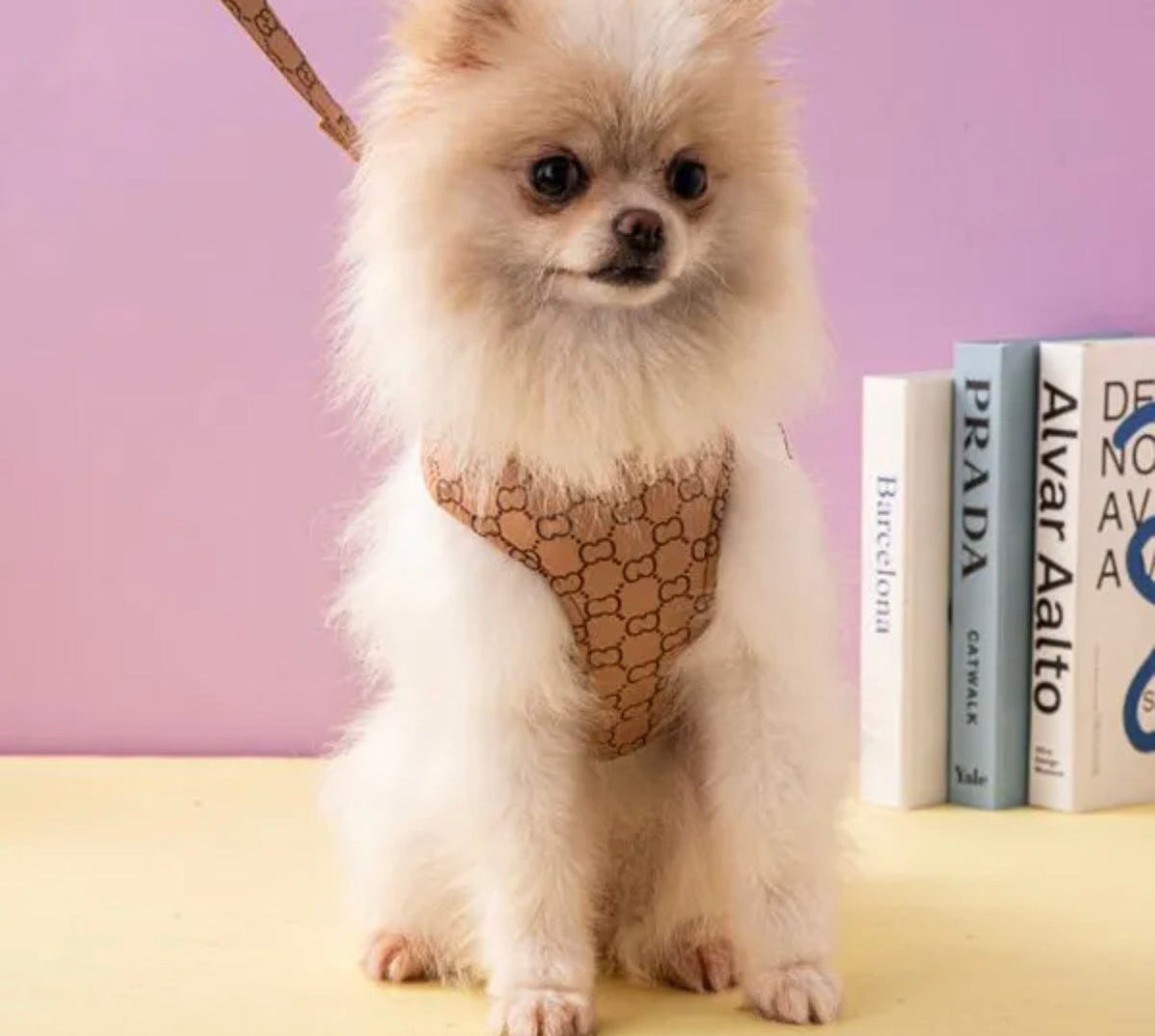 Gigi Dog Harness and Leash Set | Dog Walking Outfit