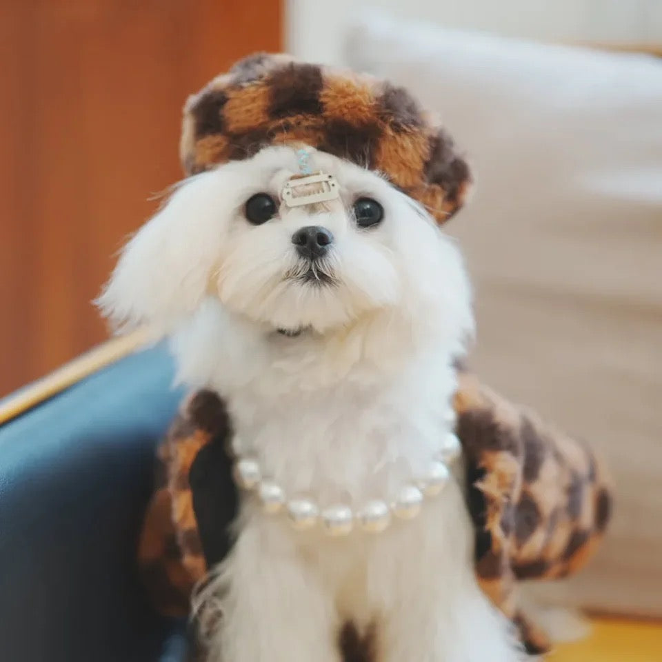 Chess or Checkers Dog Set | Hat and Coat Outfit