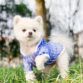 Jeremiah Dog T-Shirt | Sheer Detail Dog Shirt