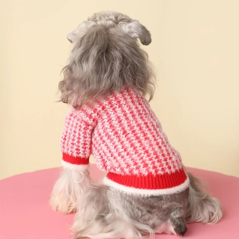 Rosalinda Cozy Knit Dog Sweater | Warm Everyday Dog Sweater