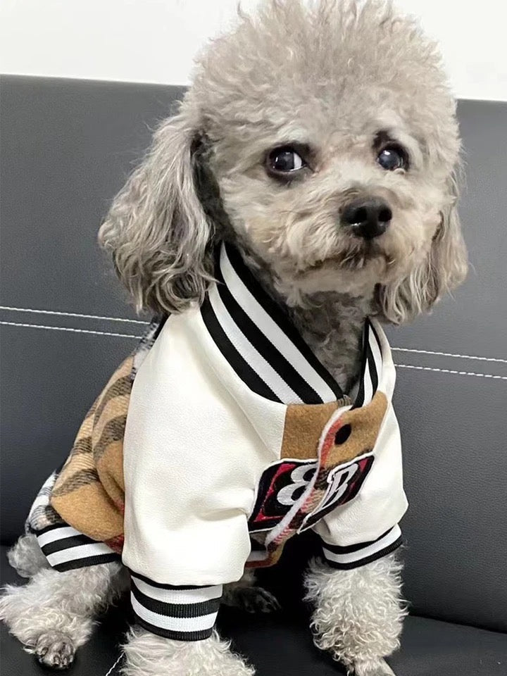 Brrbrry Swag Dog Jacket | Lightweight Dog Jacket