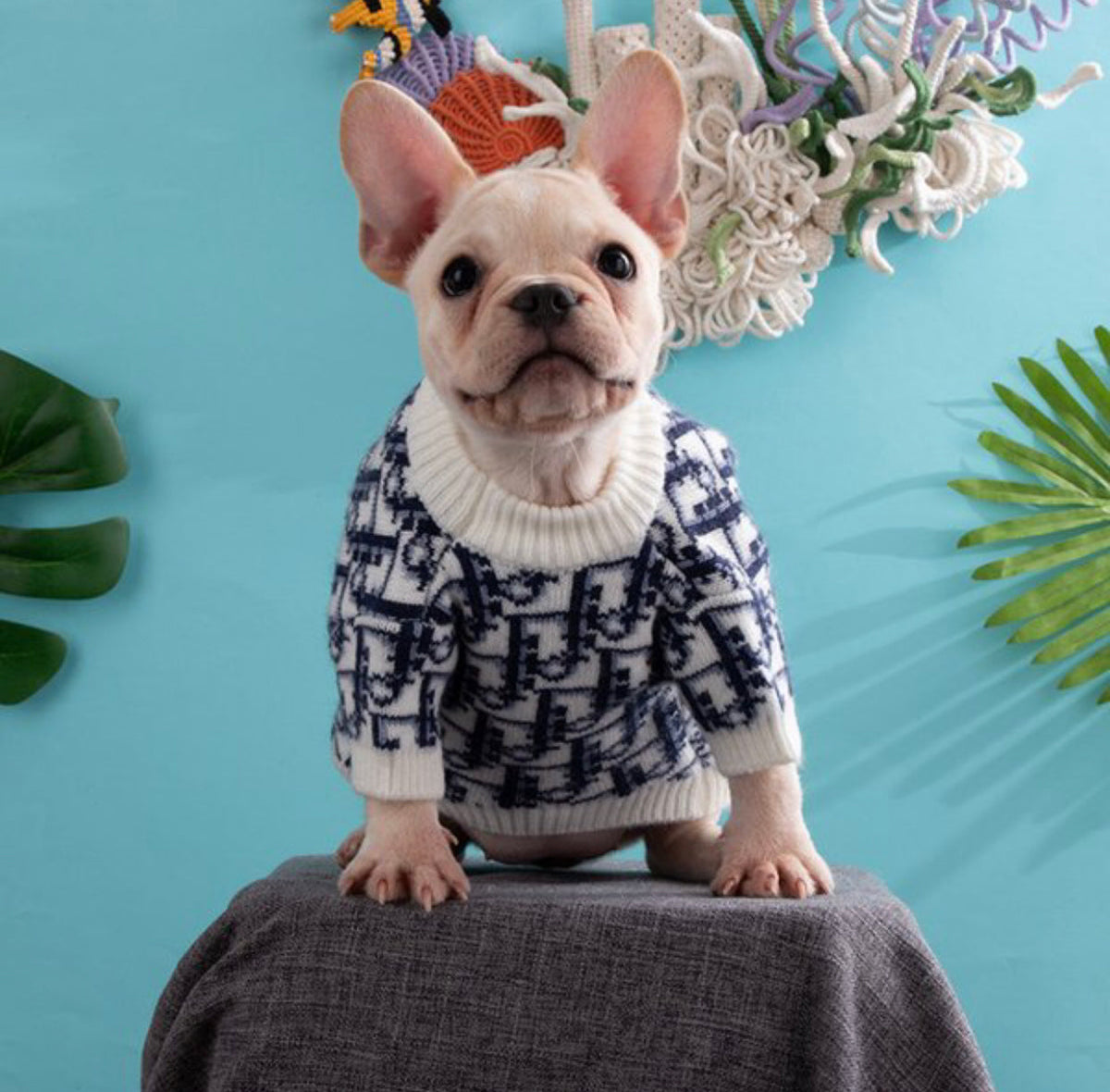 Deorel Classic Knit Dog Sweater | Pullover Top