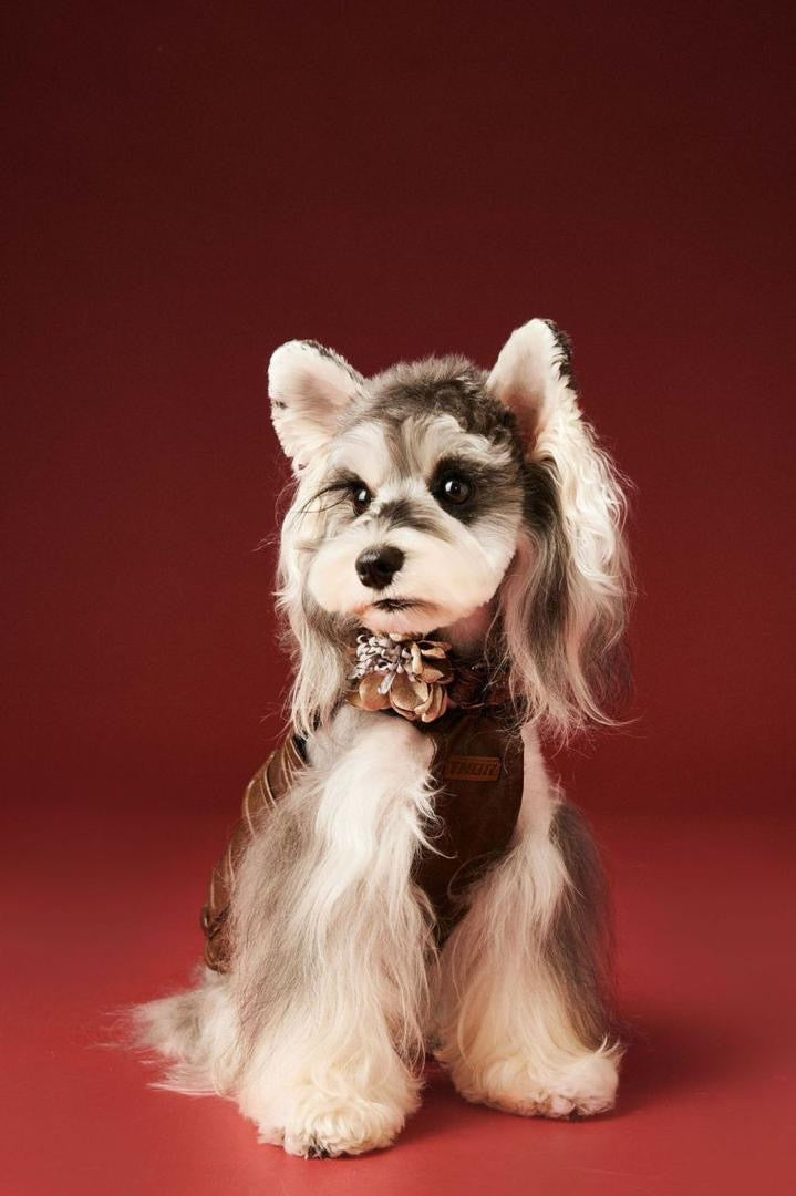 Joey Dog Overalls Vest | Dog Vest for Everyday Wear
