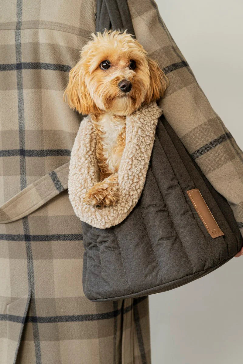 Bailey Dog Carrier | Pet Travel Carrier