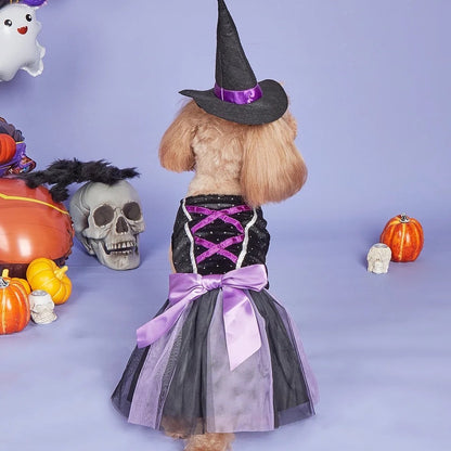 Witch Hat Dog Dress | Halloween Costume