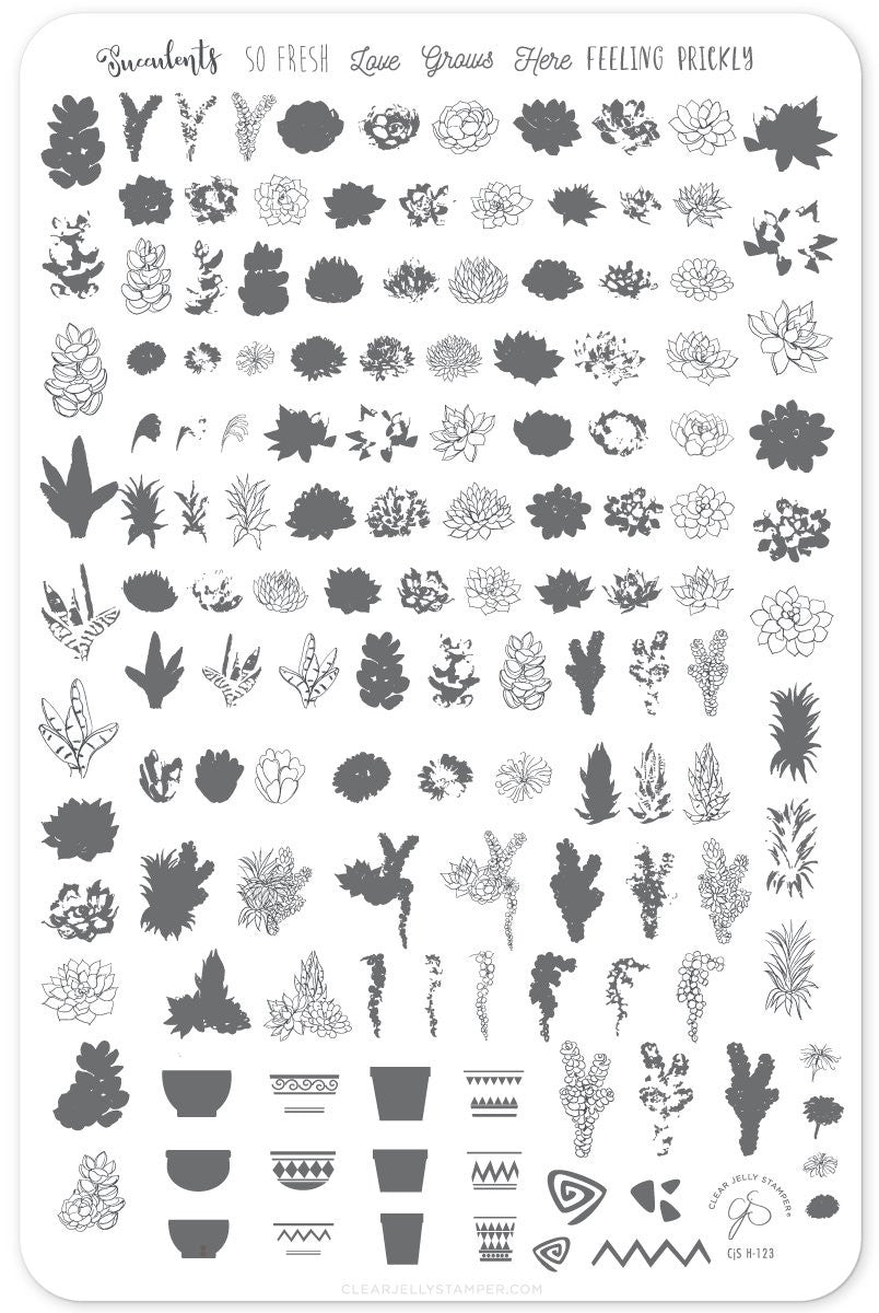 Clear Jelly Stamper - Oh So Succulent