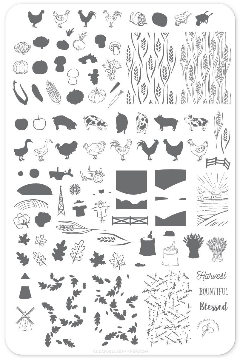 Clear Jelly Stamper - Harvest
