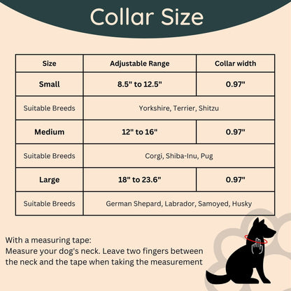 Dog Walk Combo: Collar, Leash, Dog Tag Set