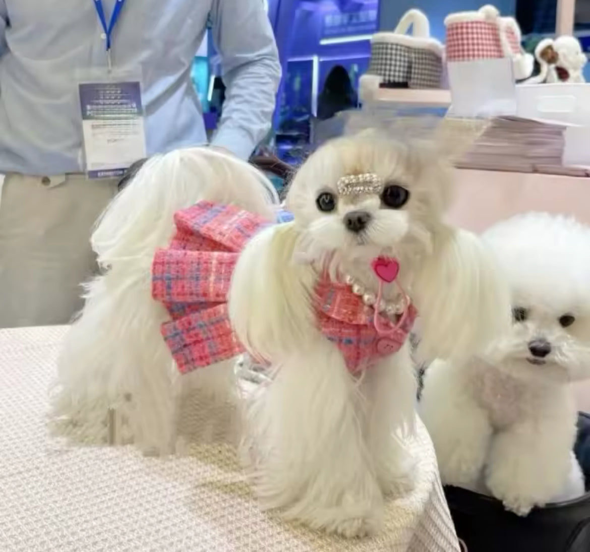 Paris Dress – Luxury Dog Dress