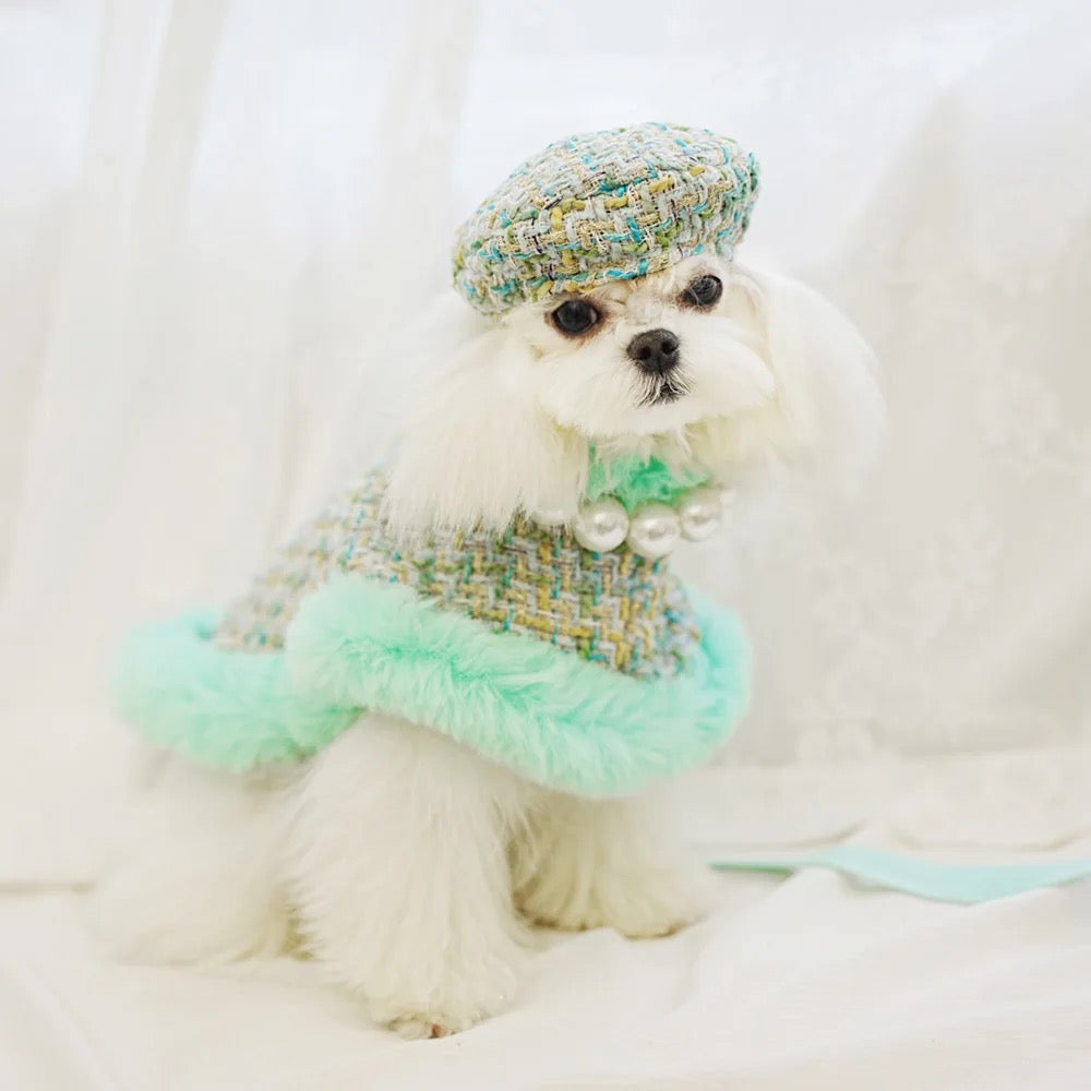 Riviera Tweed Dog Harness Set | Harness Hat and Leash Outfit