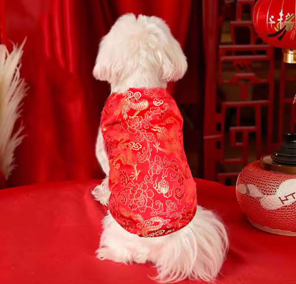 Lucky Bloom Chinese New Year Dog Shirt | Red & Gold Cheongsam-Inspired Top