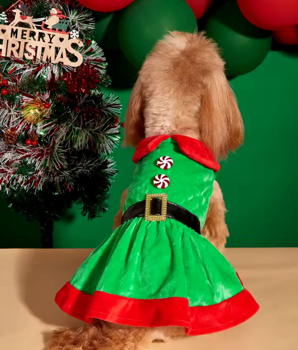 Christmas Dog Dress – Festive Holiday Dress for Dogs