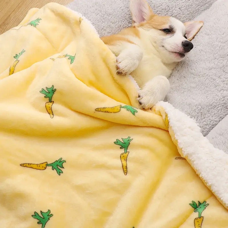 Carrot Patch Dog Blanket | Cozy Pet Comfort Blanket