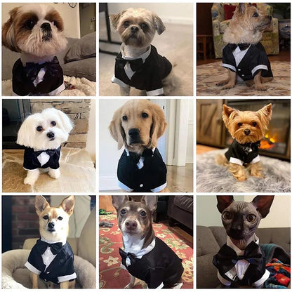 Midnight Regent Two-Piece Dog Suit | Formal Dog Outfit Set