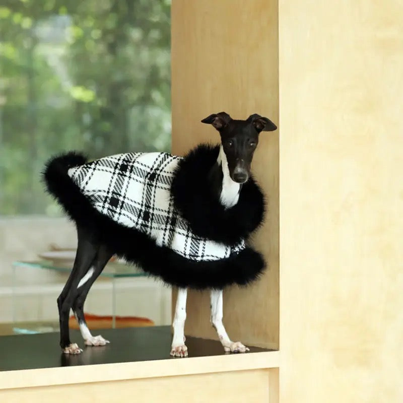 Dubai Dog Coat | Plaid Dog Coat