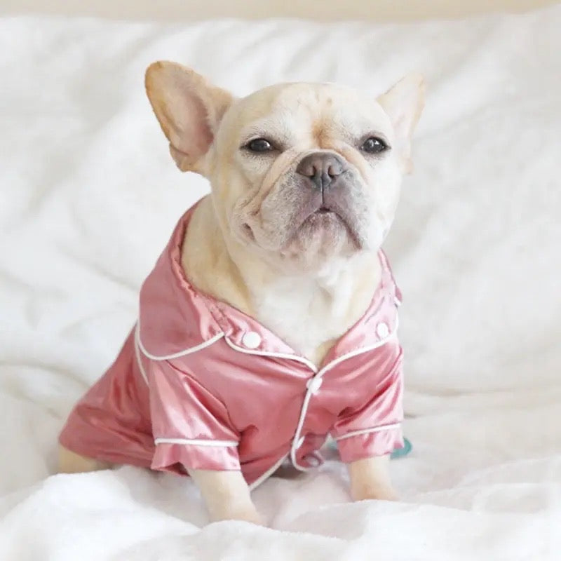 Silk Dog Pajamas | Indoor Pet Wear