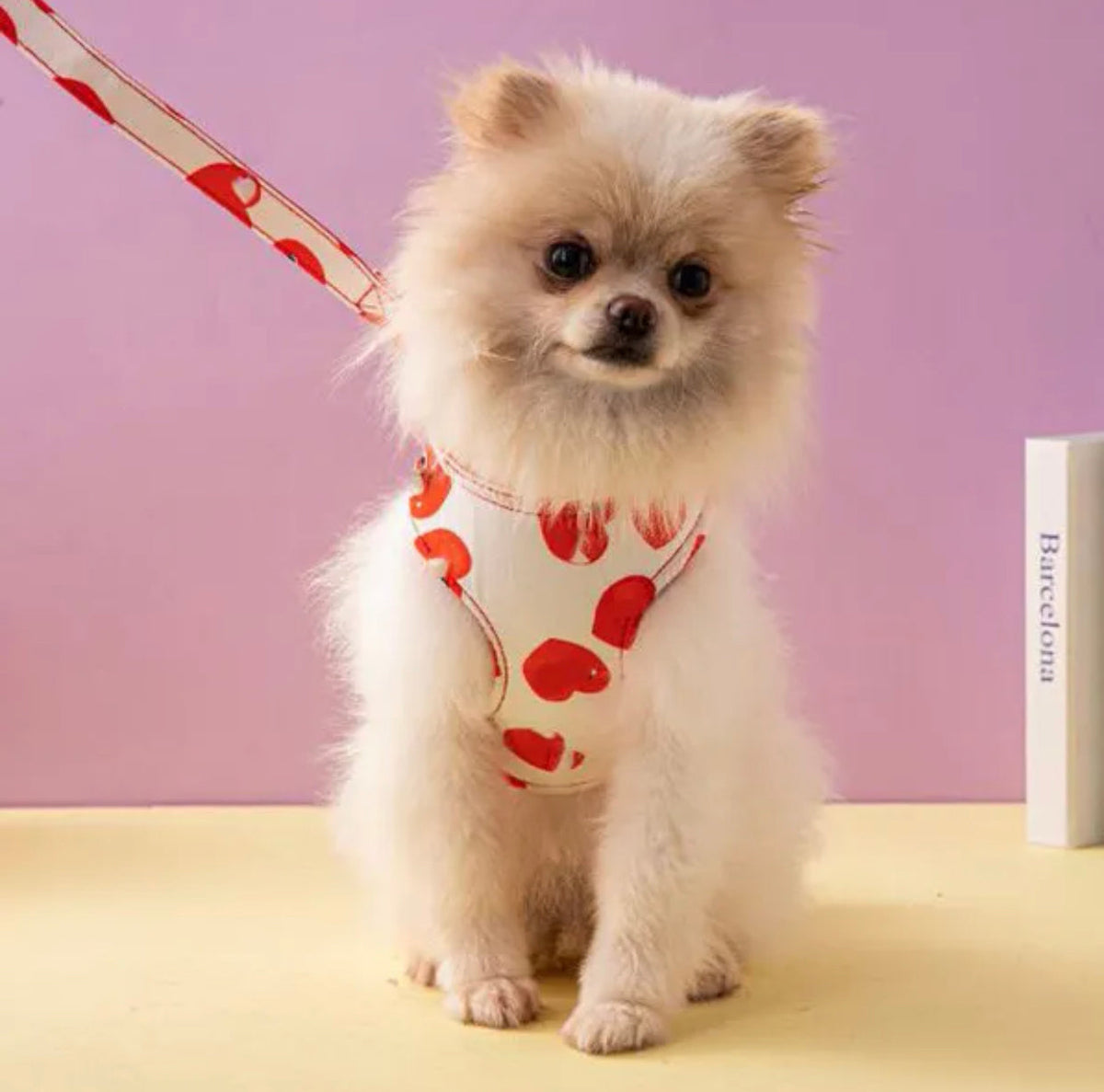Heart Print Dog Harness and Leash Set | Dog Walking Outfit