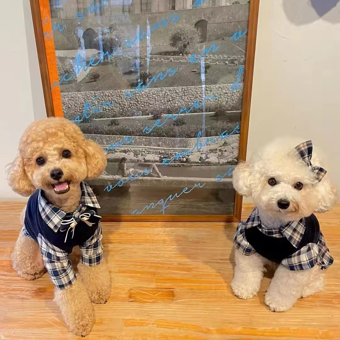 Fiona Set – Luxury Plaid Outfit Set for Dogs