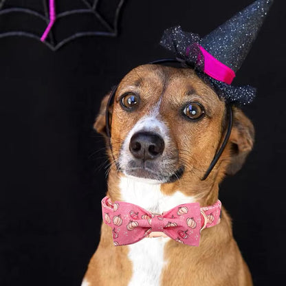 Pumpkin Dog Collar | Dog Halloween Collar