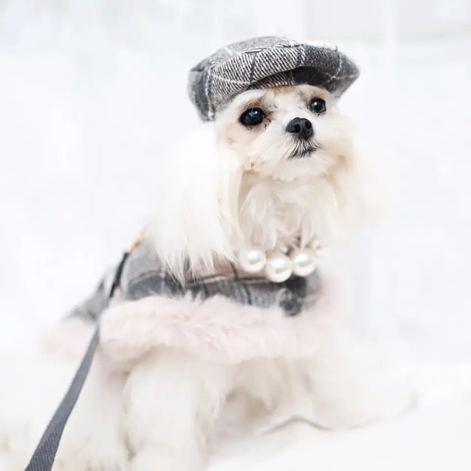 Ophelia Plaid Dog Harness Set | Outfit with Hat and Leash
