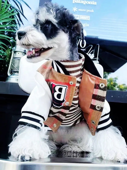 Brrbrry Swag Dog Jacket | Lightweight Dog Jacket